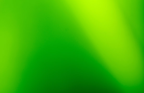 99+] mẫu sơn nhà màu xanh lá cây nội & ngoại thất tươi đẹp nhất